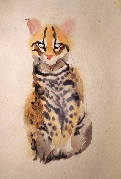 Рисунок оцелота акварельными карандашами