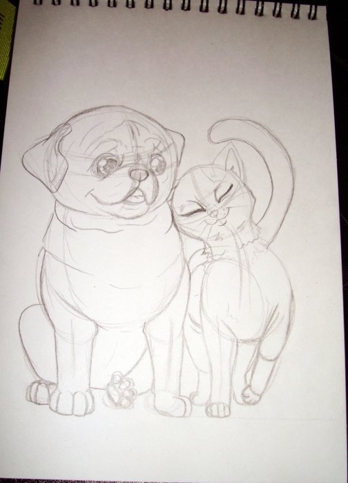 Кошка и собака рисунок карандашом