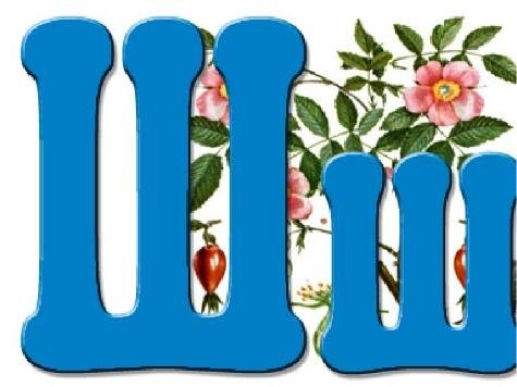 Буква ш красивая