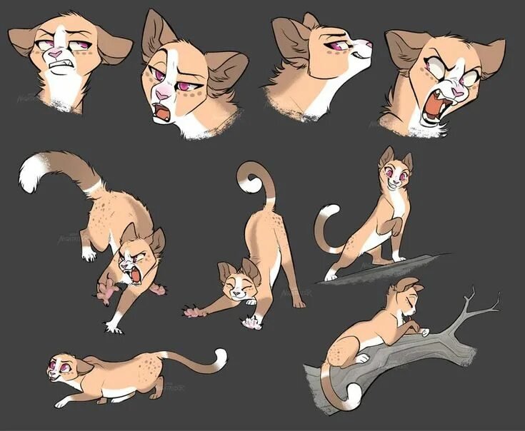 Коты Воители референс