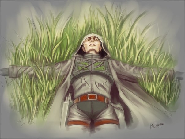 Сталкер Меченый и шрам