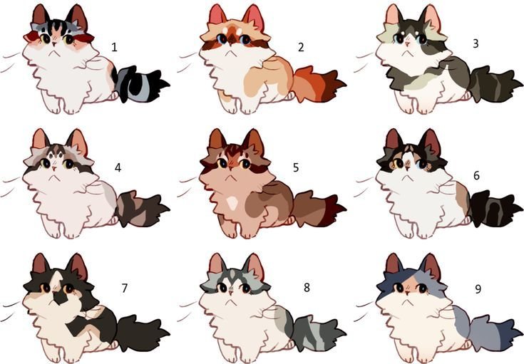 Коты Воители адопты
