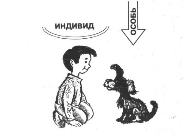 Индивид