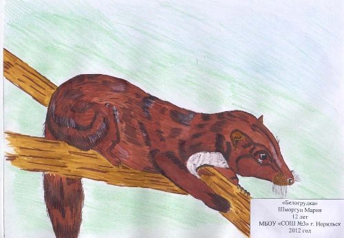 Рисунок к рассказу Белогрудка