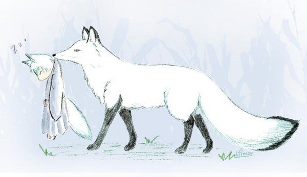 Песец рисунок