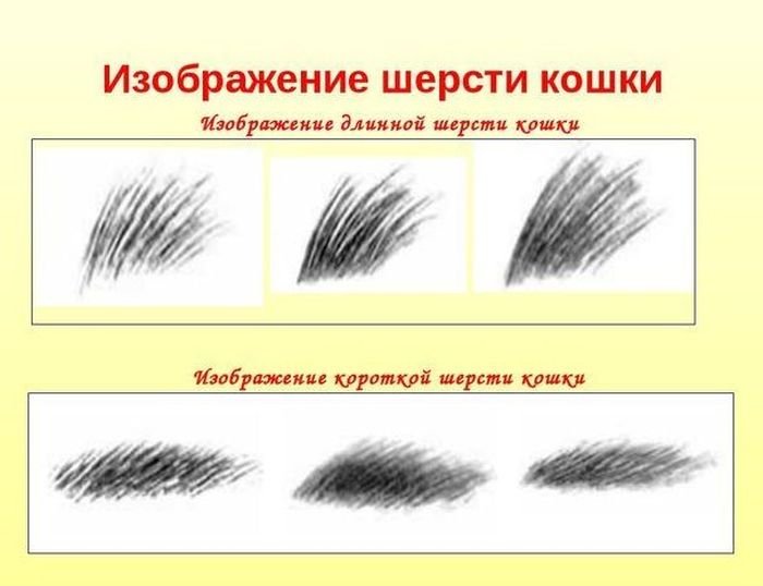 Рисование шерсти животных