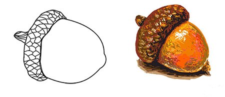 Желудь рисунок для детей