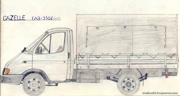 Газель рисунок карандашом