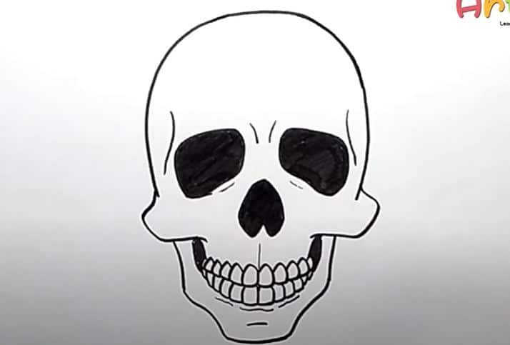 Череп для рисования