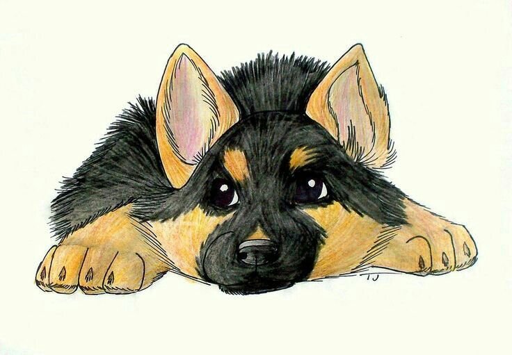 Рисунок собаки для срисовки