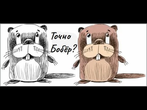 Грустный бобер