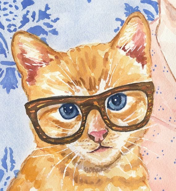 Кот в очках