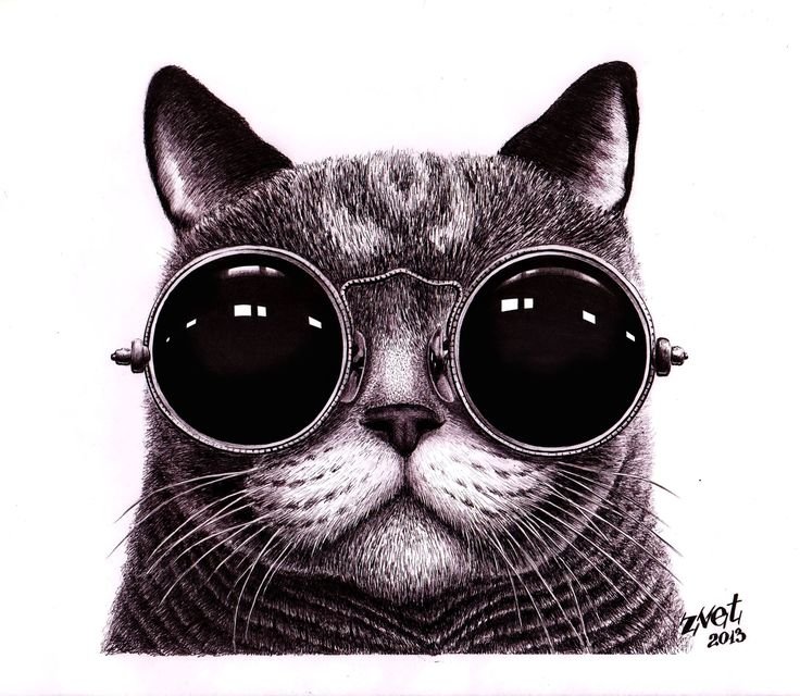 Кот в очках легкие