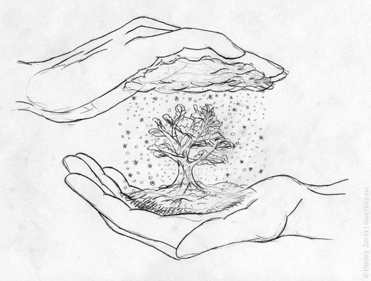 Рисунок на тему природа карандашом