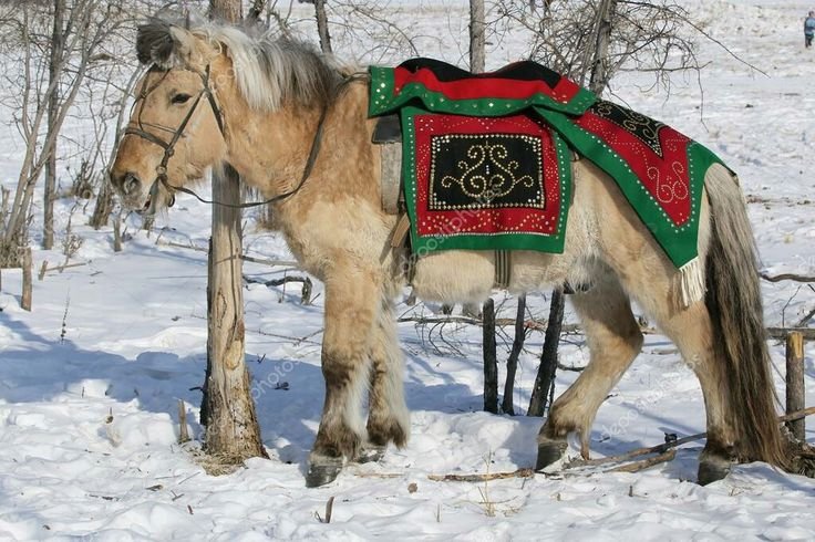 Саха Ата Якутская лошадь