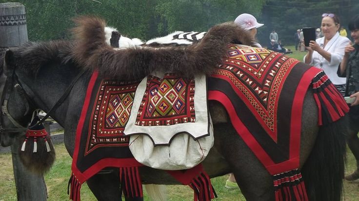 Якутская лошадь