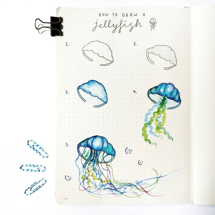 Sketchbook карандашом медузы