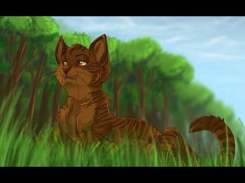 Коты Воители ежевика