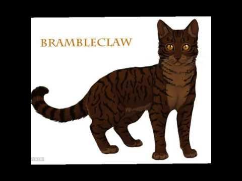 Коты Воители язавичая звезда