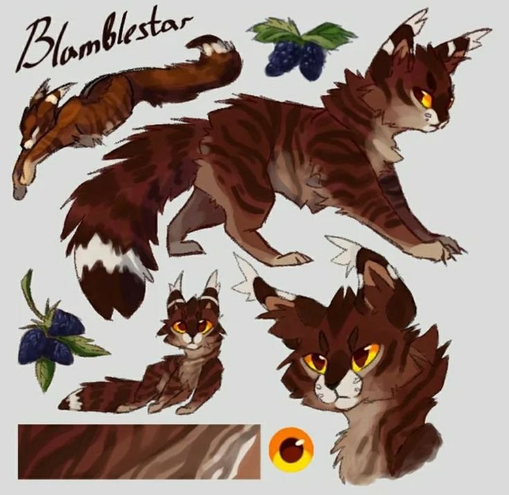 Коты Воители Ежевичная звезда