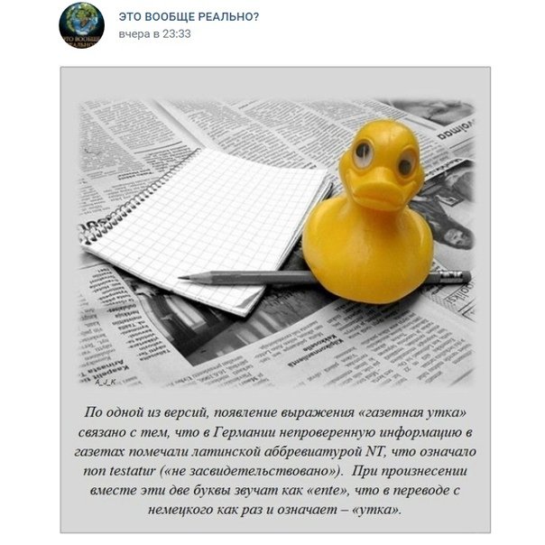 Газетная утка