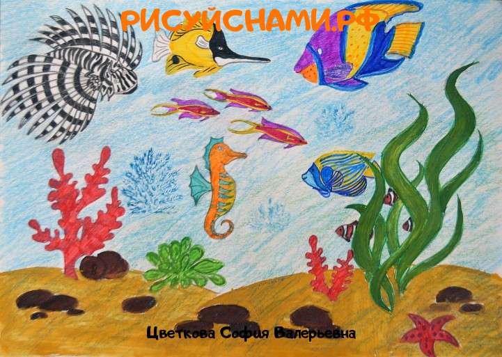 Рисование на тему рыбы