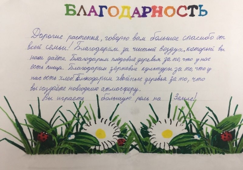 Благодарственное письмо растениям за их