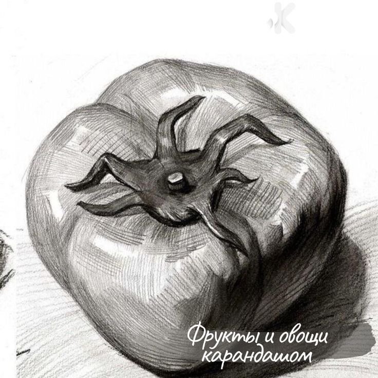 Рисунки графитным карандашом
