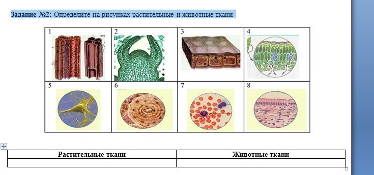 Растительные и животные ткани 5 класс биология