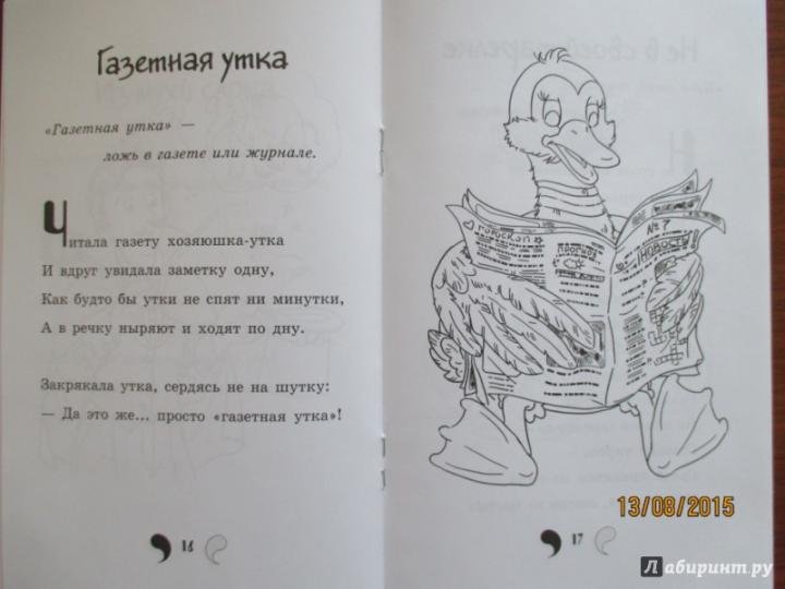 Газетная утка
