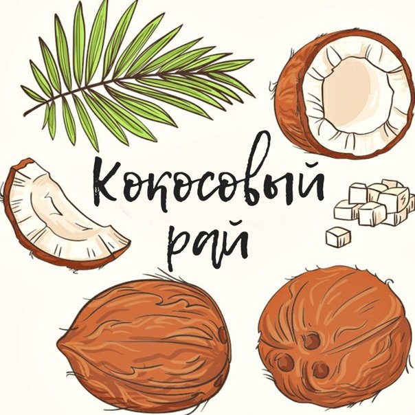 Картинки кокоса для срисовки