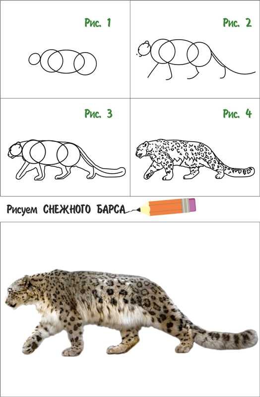 Как нарисовать снежно во Барса