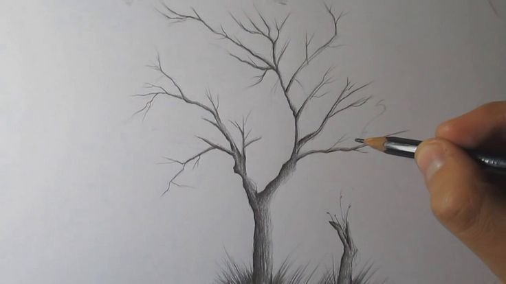Дерево карандашом