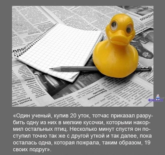 Интересные факты