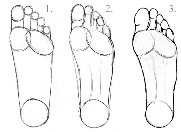 Sole drawing jpeg
