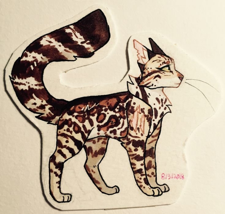 Коты Воители Бенгальская кошка