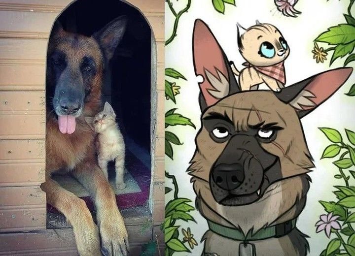 Брут и Пикси в реальной жизни