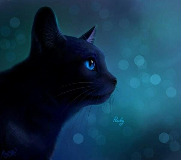 Коты Воители синяя звезда арт