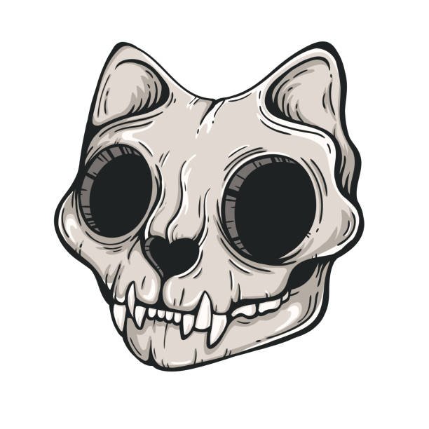 Искизчереп кошки