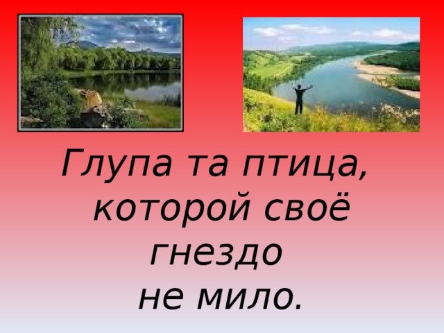 Глупа та птица которой свое гнездо не мило смысл пословицы