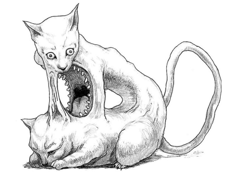 Рисунки котов карандашом