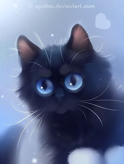 Чёрный кот с серыми глазами