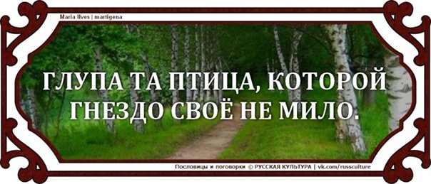 Глупа та птица которой свое гнездо не мило