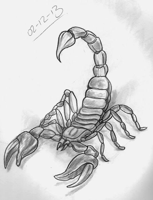 Скорпион эскиз