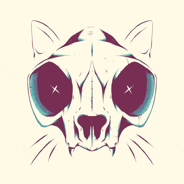 Череп кошки арт