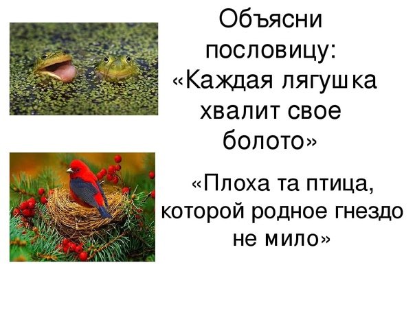 Каждый хвалит свое болото пословица