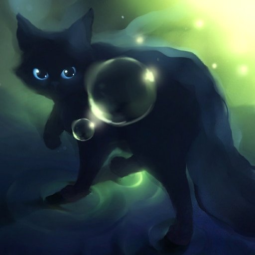 Коты Воители чёрный кот