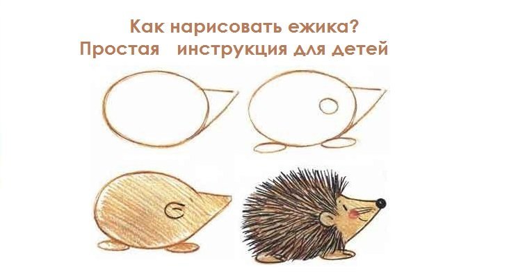 Ежик рисунок
