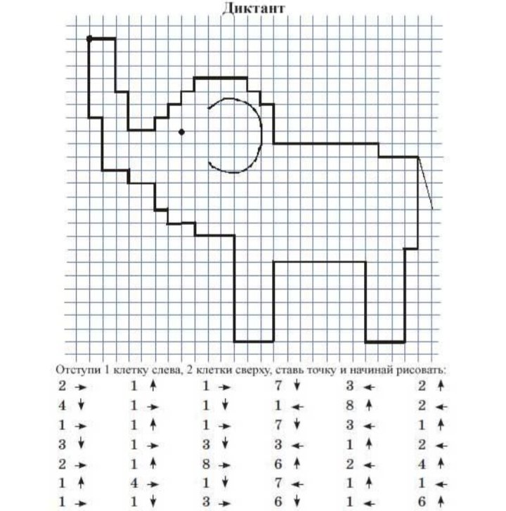 Графический диктант для дошкольников слон