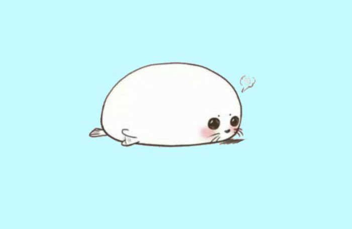 Милый тюлень рисунок